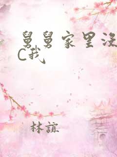 舅舅家里没人快C我