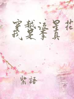 穿越流星花园之我是李真