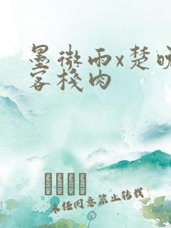 墨微雨x楚晚宁客栈肉