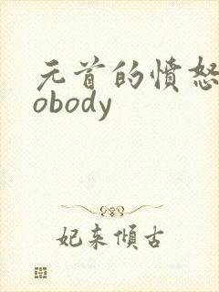 元首的愤怒之nobody