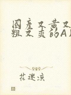 国产又黄又猛又粗又爽的A片小说