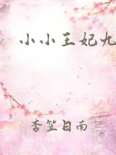 小小王妃九岁半