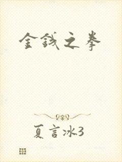金钱之拳
