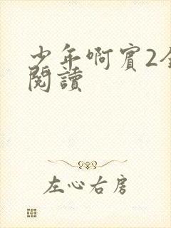 少年啊宾2全文阅读