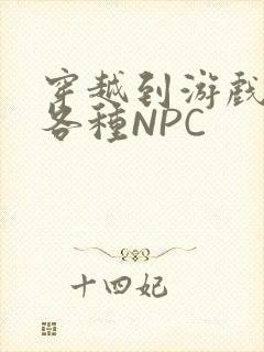 穿越到游戏里和各种NPC