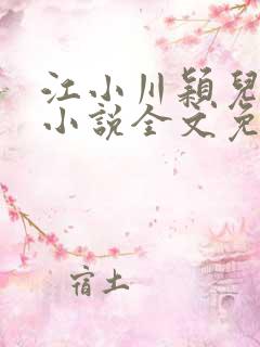 江小川颖儿穿越小说全文免费阅读