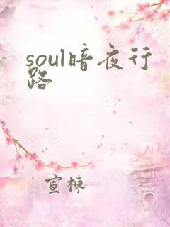 soul暗夜行路