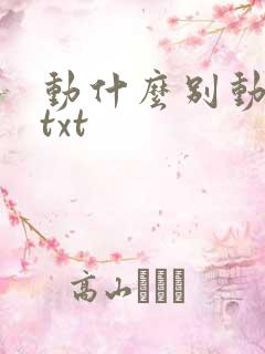 动什么别动感情txt