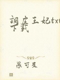 调皮王妃txt下载
