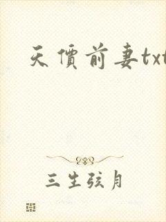 天价前妻txt