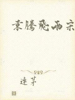 袁腾飞两宋风云