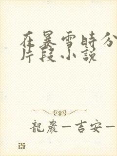 在暴雪时分高能片段小说