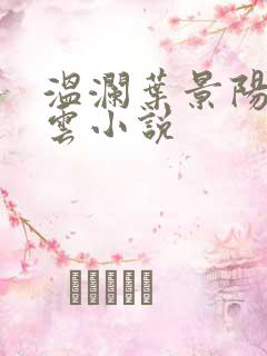 温澜叶景阳温云云小说