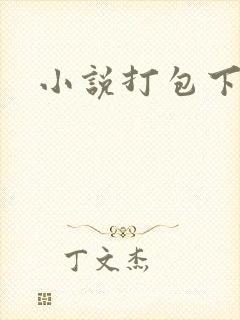 小说打包下载