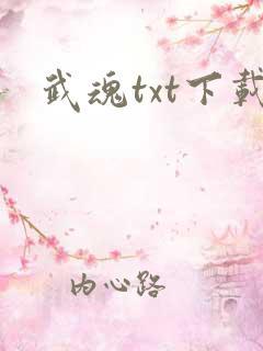 武魂txt下载