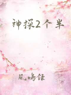 神探2个半