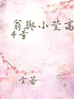 翁与小莹高潮24章