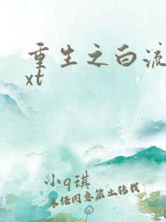 重生之白流苏txt