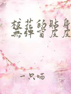 校花的贴身高手无弹窗皮皮