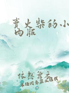 卖火柴的小男孩 肉版