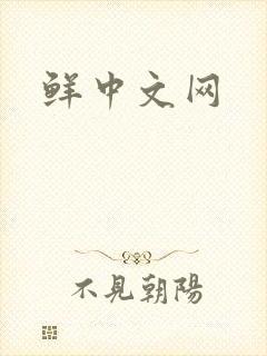 鲜中文网