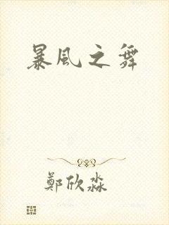 暴风之舞