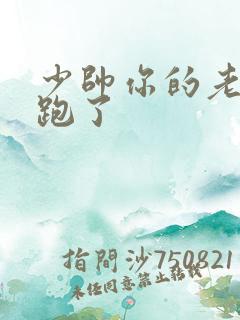 少帅你的老婆又跑了