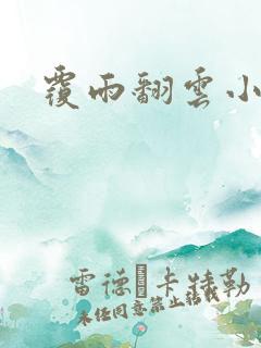 覆雨翻云小说
