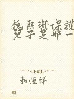 魏熙珊保护萧峥儿子是哪一集