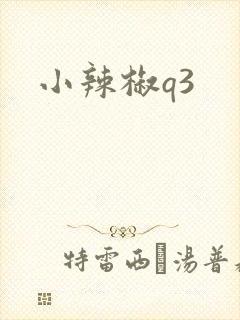 小辣椒q3