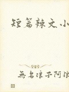 短篇辣文小说