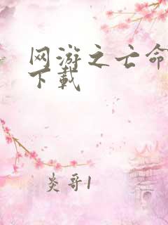 网游之亡命天涯下载