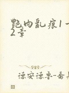 艳肉乱痕1一12章