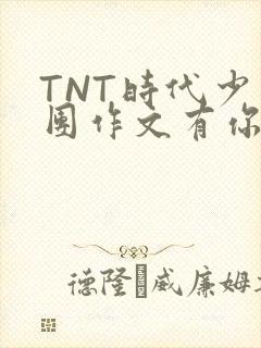 TNT时代少年团作文有你真好