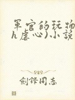 军官的玩物(高h虐心)小说