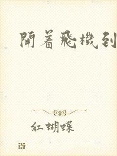 开着飞机到异界