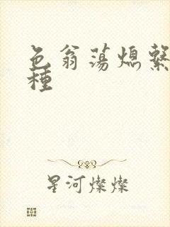 色翁荡熄系列借种