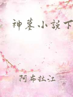 神墓小说下载