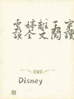 云婷离王穿越小说全文阅读