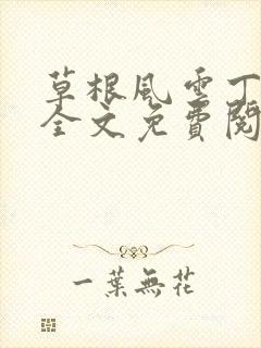 草根风云丁长生全文免费阅读