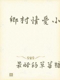 乡村情爱小说
