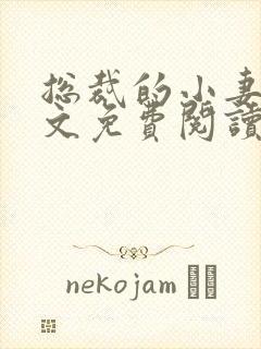 总裁的小妻子全文免费阅读