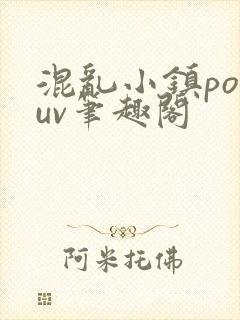 混乱小镇popuv笔趣阁