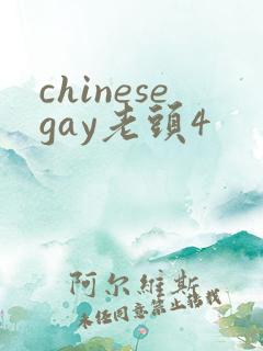 chinesegay老头4
