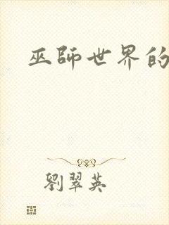 巫师世界的法师