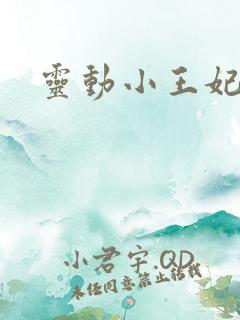 灵动小王妃