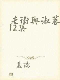 老卫与淑蓉1一12集