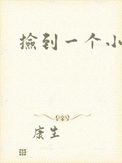 捡到一个小妖精