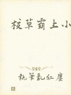 校草霸上小丫头