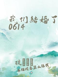 我们结婚了130614
